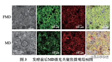 乳酸菌发酵剂如何重塑杂粮面团与馒头品质——聚焦东北农业大学孟祥晨教授团队的研究进展