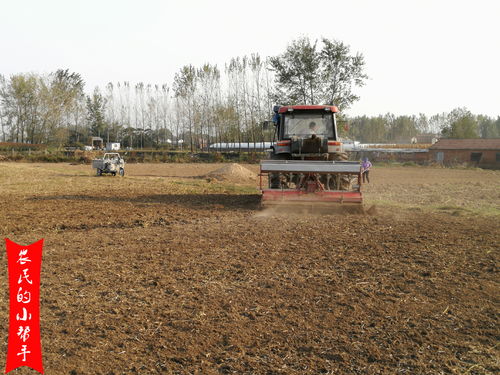 小麦底肥施用时机与技术解析 科学用肥助力农业绿色防控