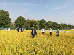 农业养分循环与面源污染控制学术研讨会在南京召开，助力农业面源与重金属污染防治技术服务